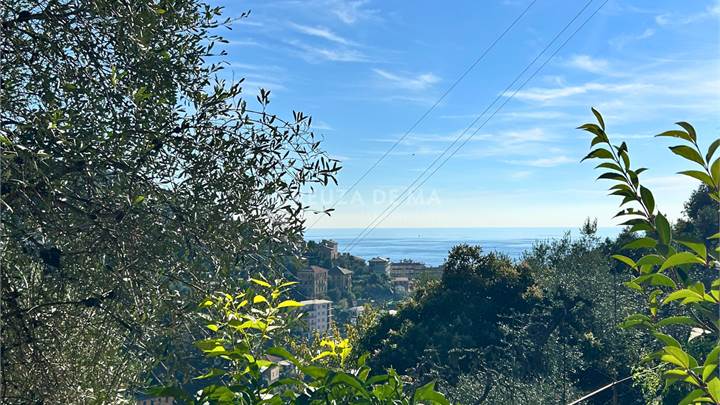 Zoagli - Via Barnabò Brea